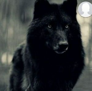 Meet your Posher, Joyce